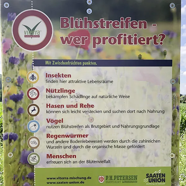 Nachhaltiger-Anbau-auf-dem-Berghof-Deizisau-Bluehstreifen-wer-profitiert
